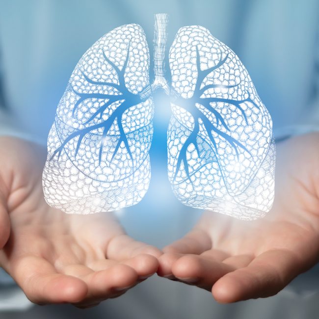 lungs