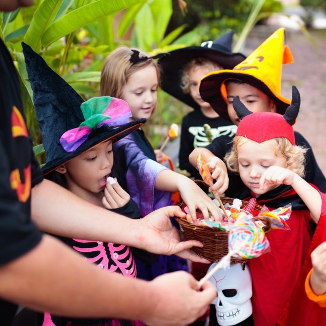 WhatsApp Image 2024-10-28 at 12.58.44 AM