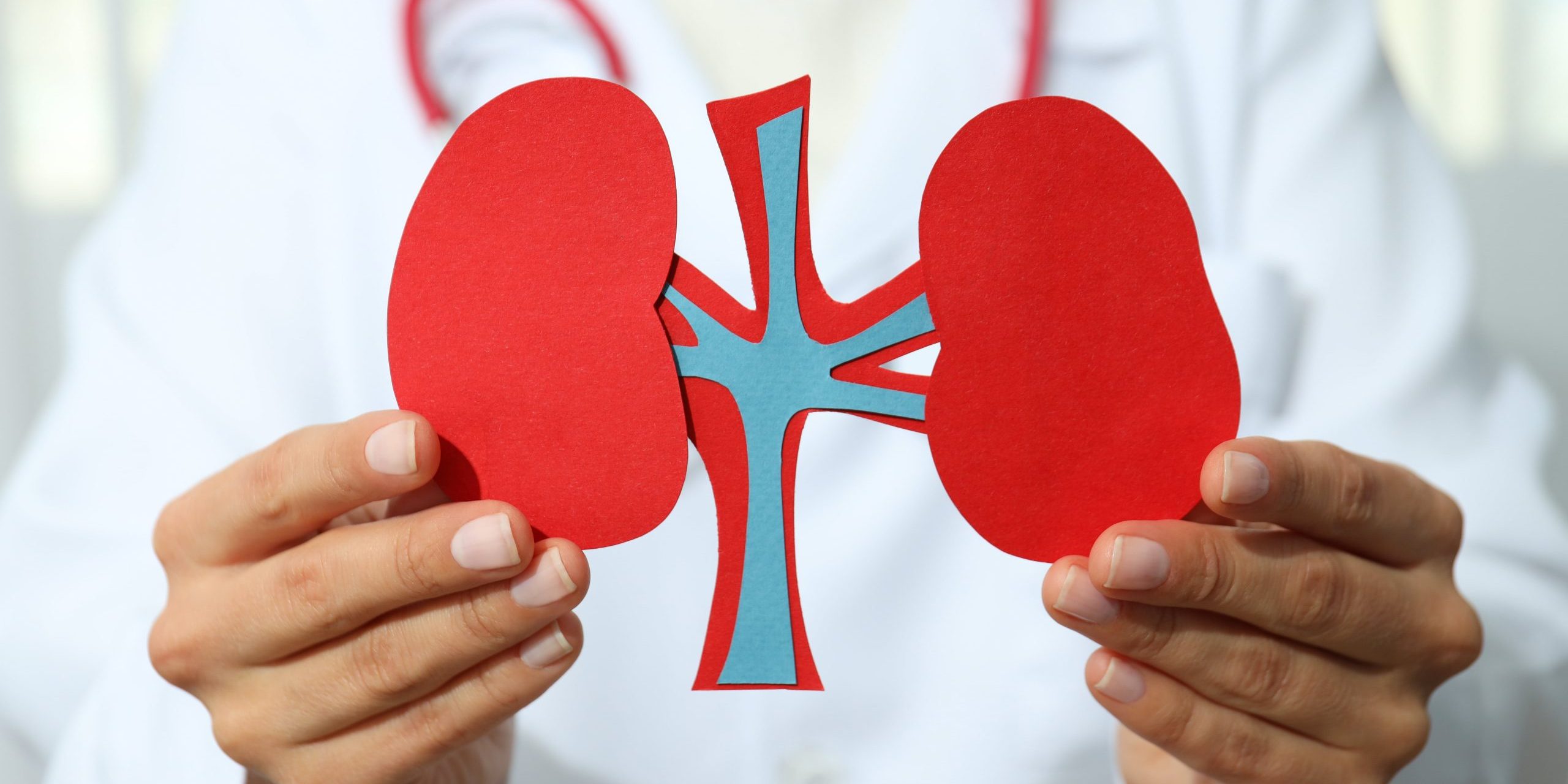 Chronic Kidney Disease (CKD) Causes, Symptoms, and Management