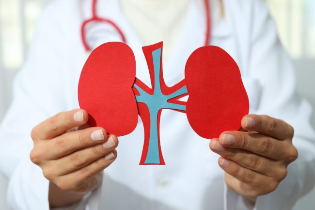 Chronic Kidney Disease (CKD) Causes, Symptoms, and Management
