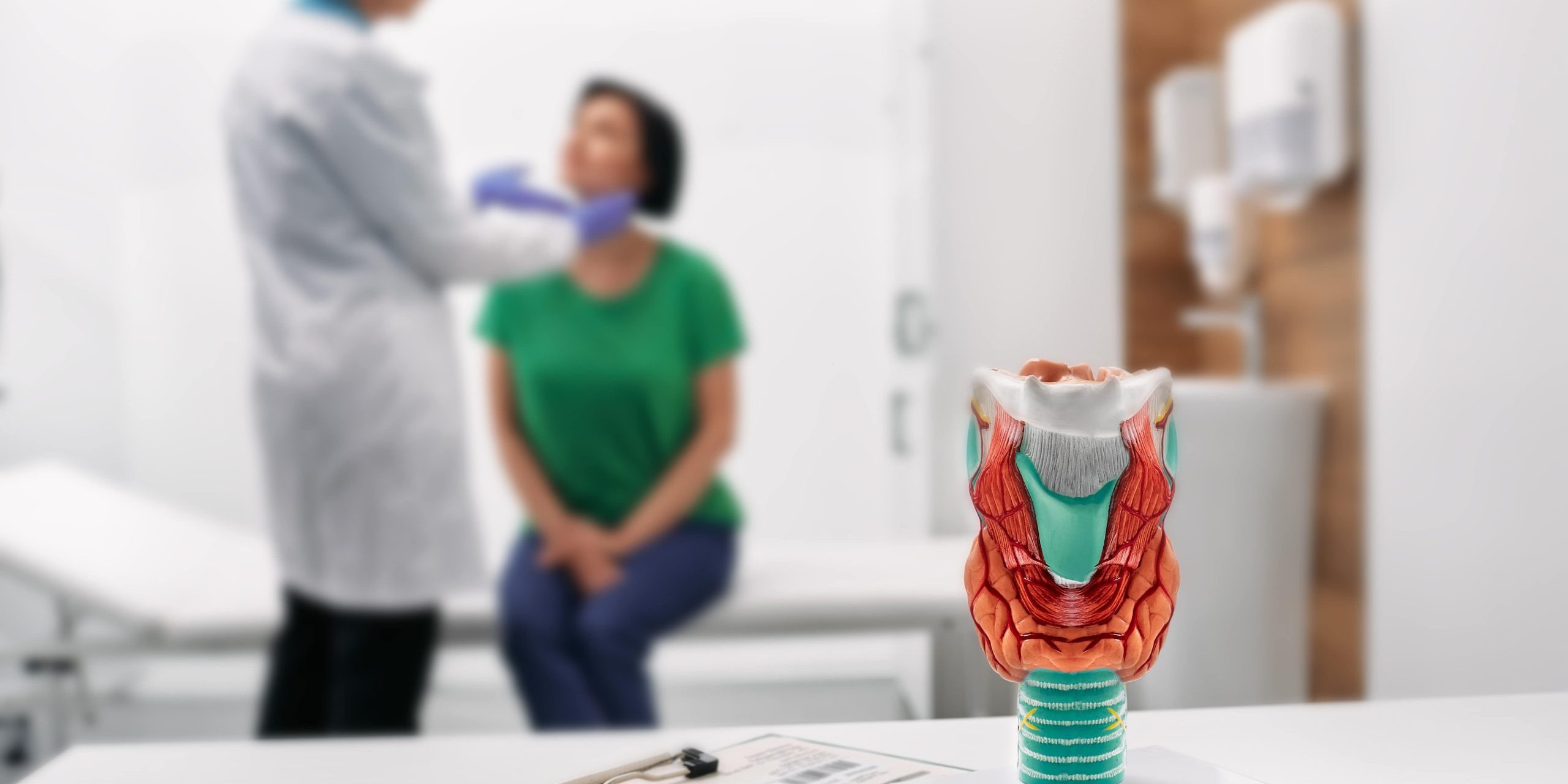 Understanding the Thyroid Gland and Its Role in the Body