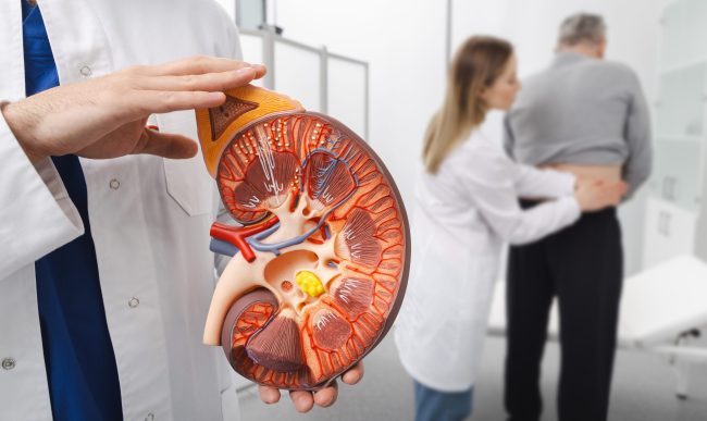 Early Signs of Kidney Disease You Should Never Ignore