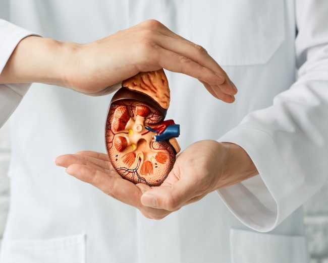 How to Keep Your Kidneys Healthy with Simple Lifestyle Changes