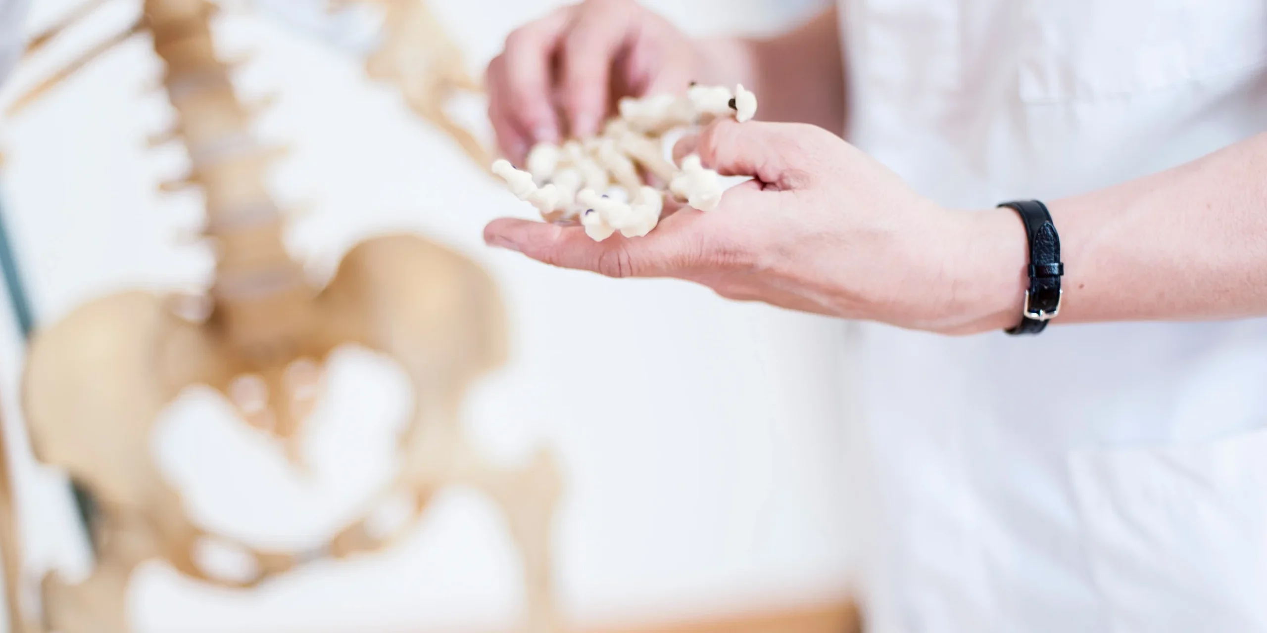 Osteoporosis Understanding the Silent Bone Disease and Its Warning Signs Osteoporosis: Understanding the Silent Bone Disease and Its Warning Signs